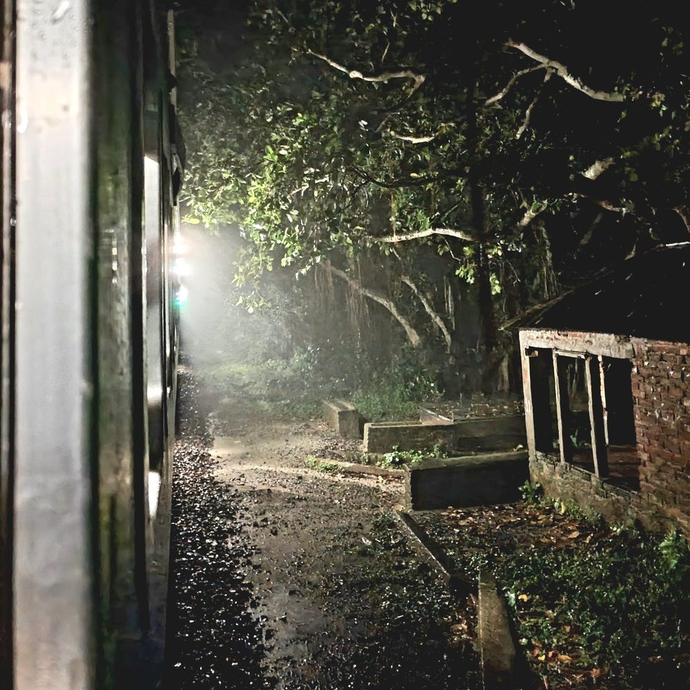 Whispers Through the Night.