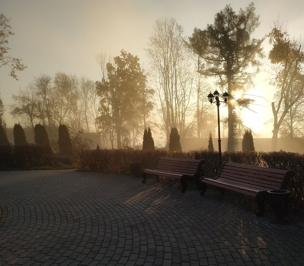 Photograph by Елена