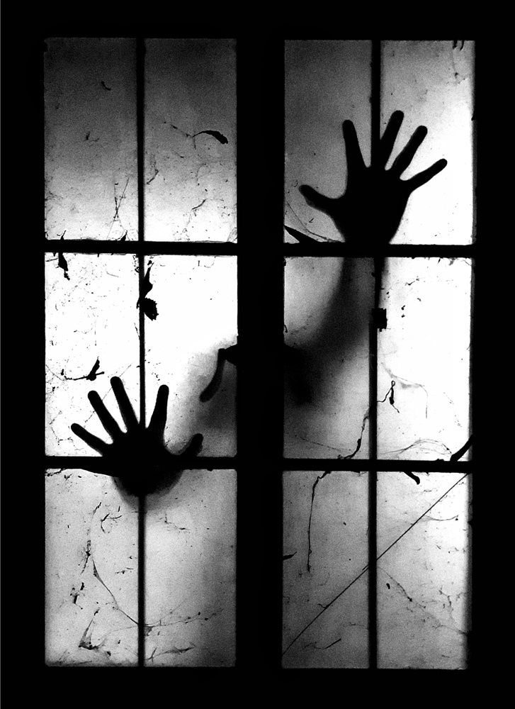 Photograph by Bustamante Molina