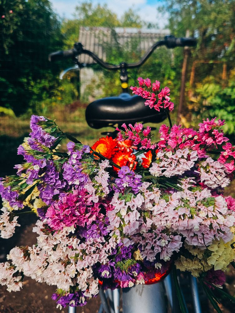 Photograph by Кристина Альшанская