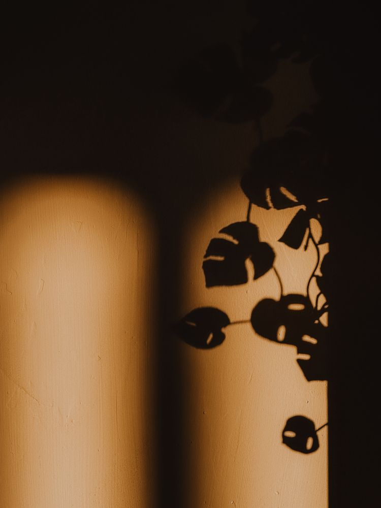 Photograph by Ирина Павлова