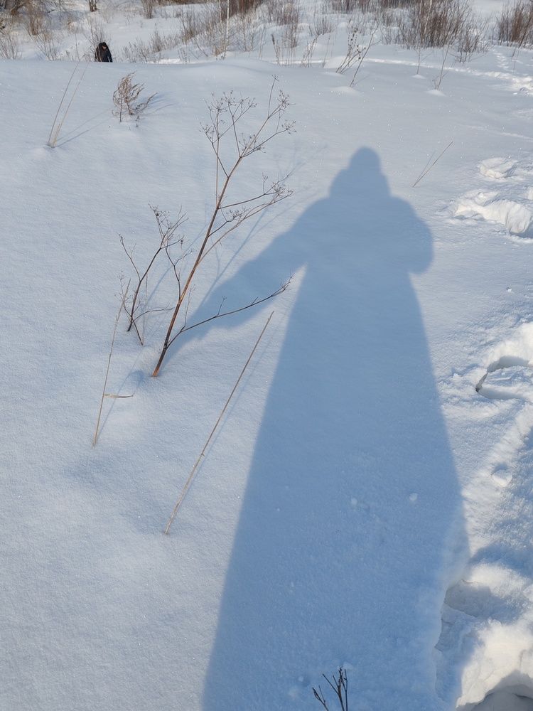 Photograph by Ольга Булдакова