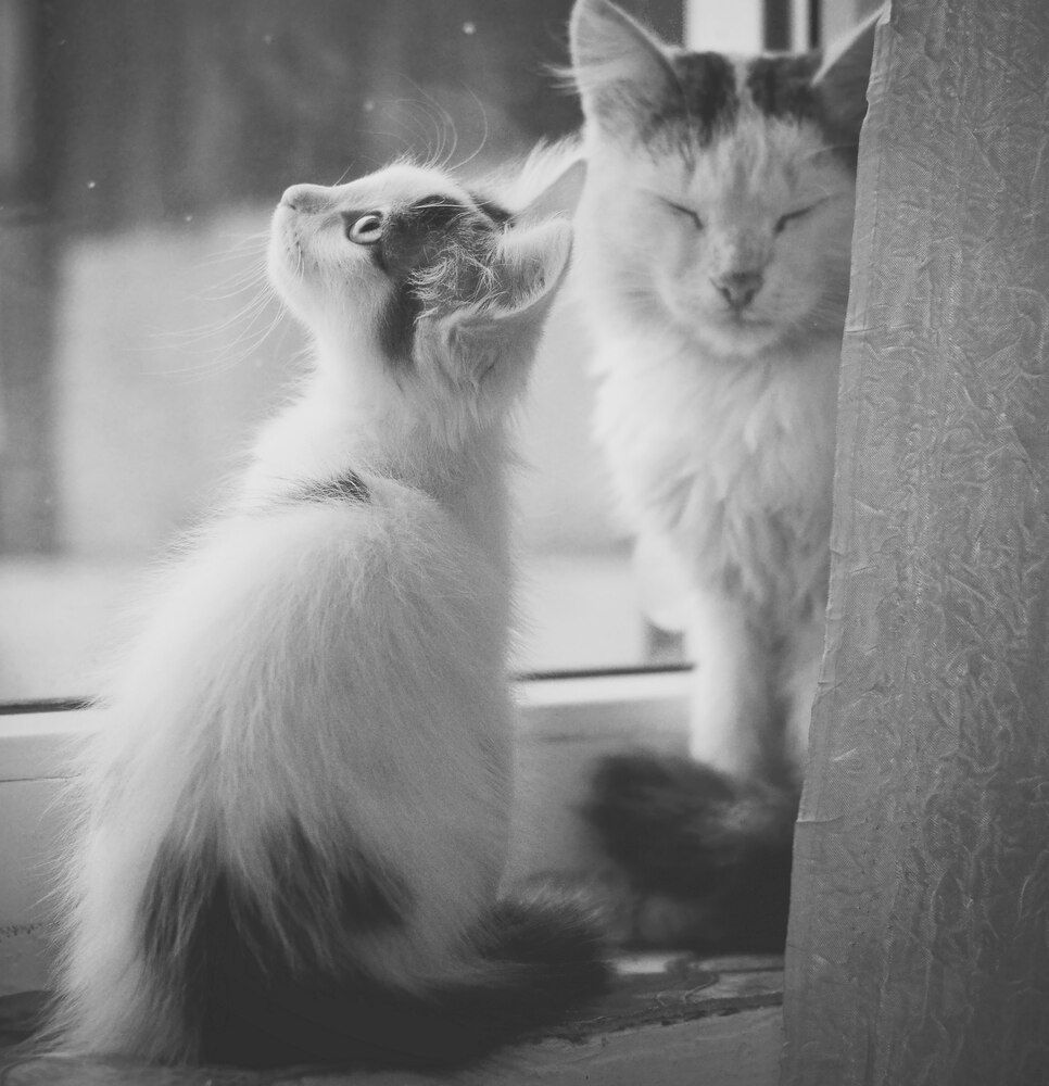 Photograph by Екатерина Шлехт