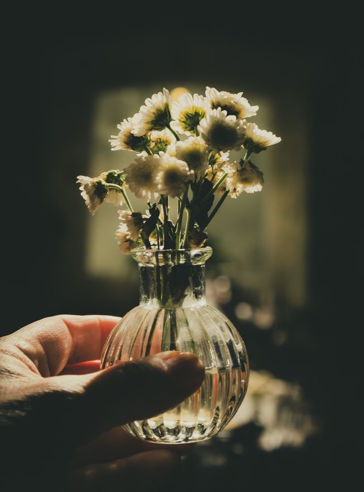 Photograph by Каргин Валерий