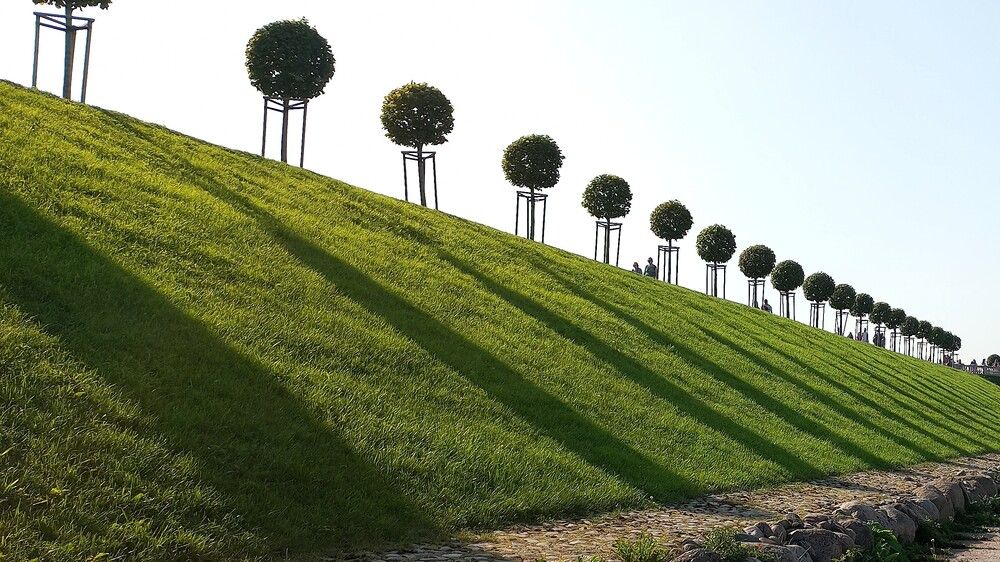 Тени на пологом зелёном травяном склоне паркового комплекса Петергоф