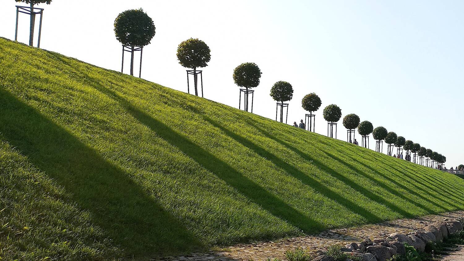 Тени на пологом зелёном травяном склоне паркового комплекса Петергоф Тени на пологом зелёном травяном склоне паркового комплекса Петергоф