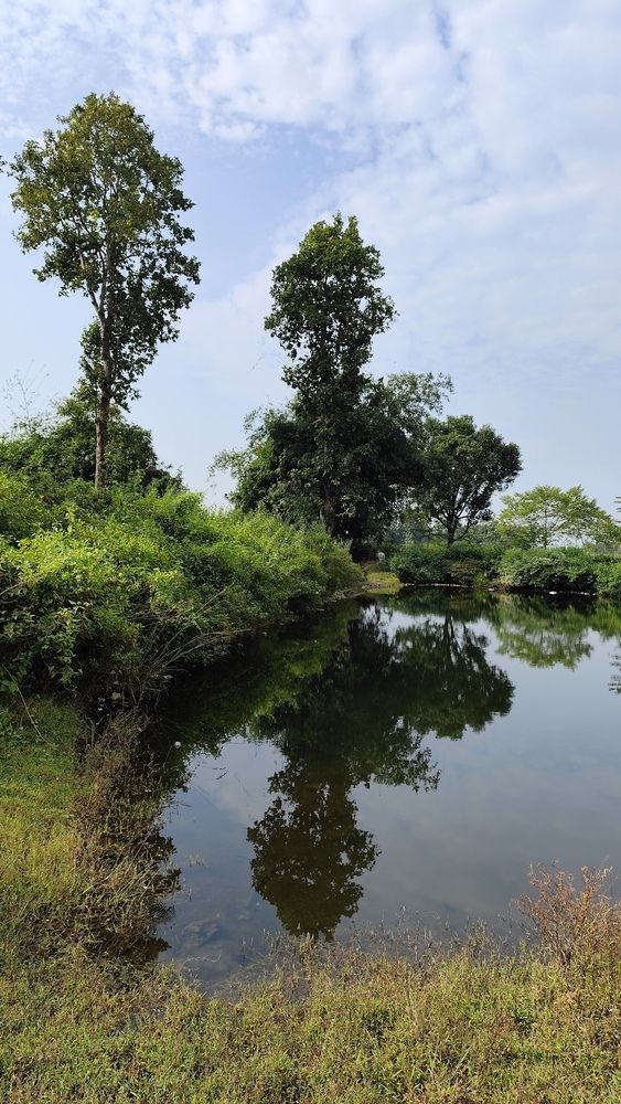 Photograph by Partha Poddar