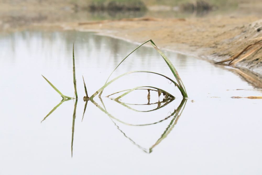Photograph by Partha Poddar