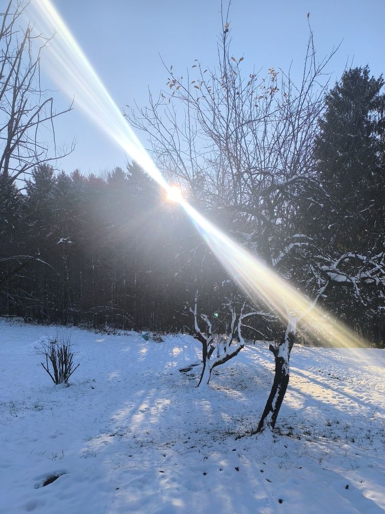 Photograph by Spela Bradac