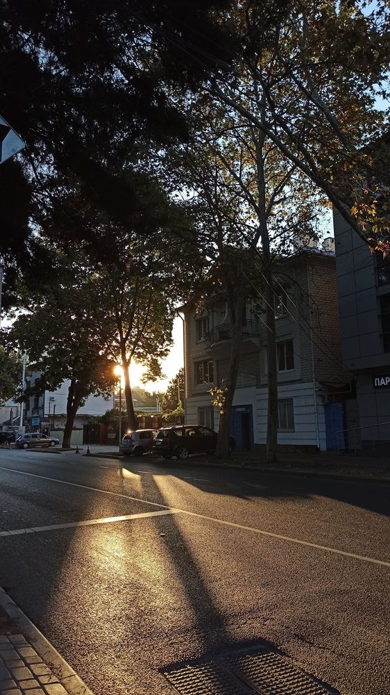 Photograph by Алёна Подгорная