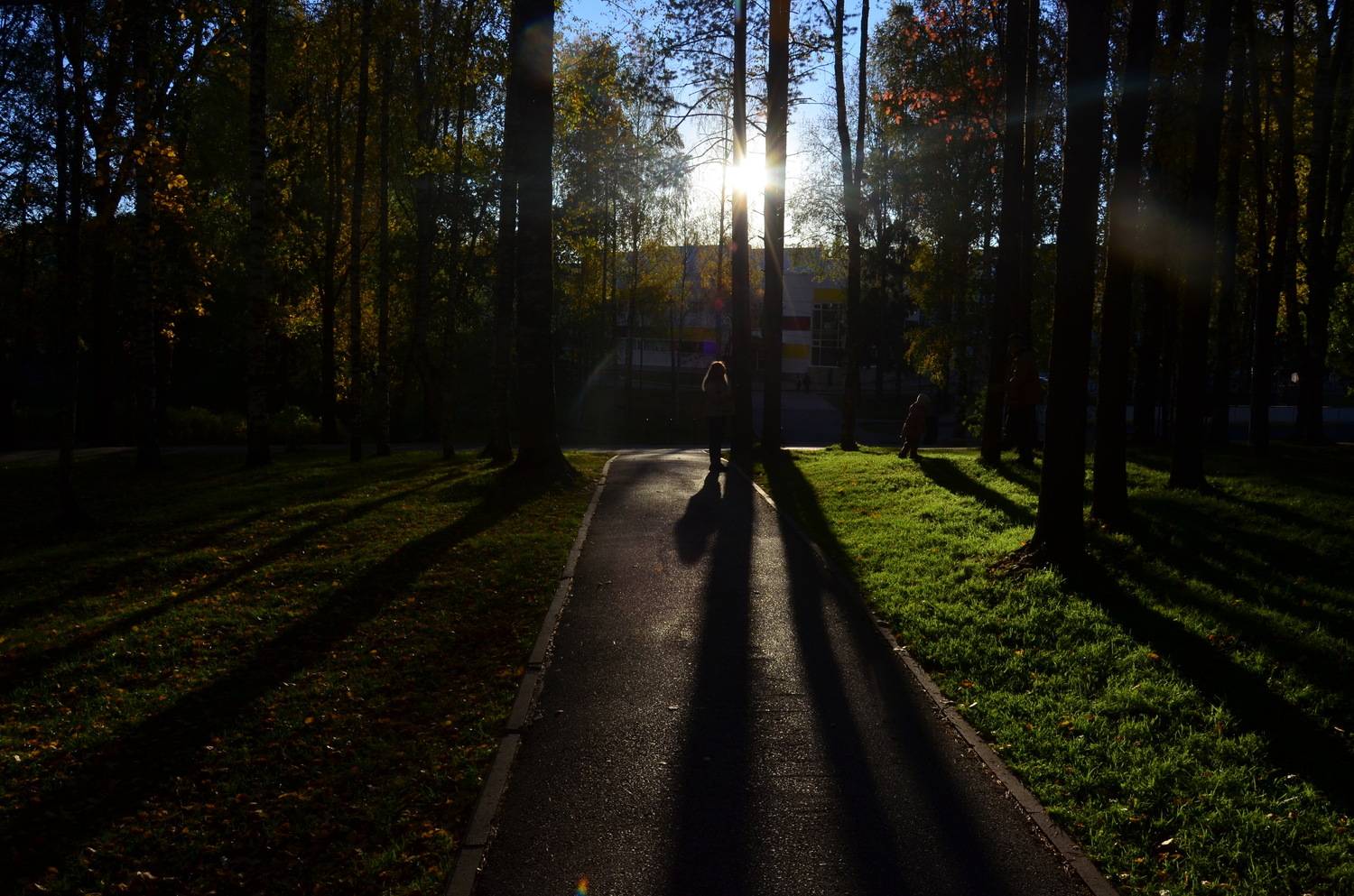 Фотография #13467187