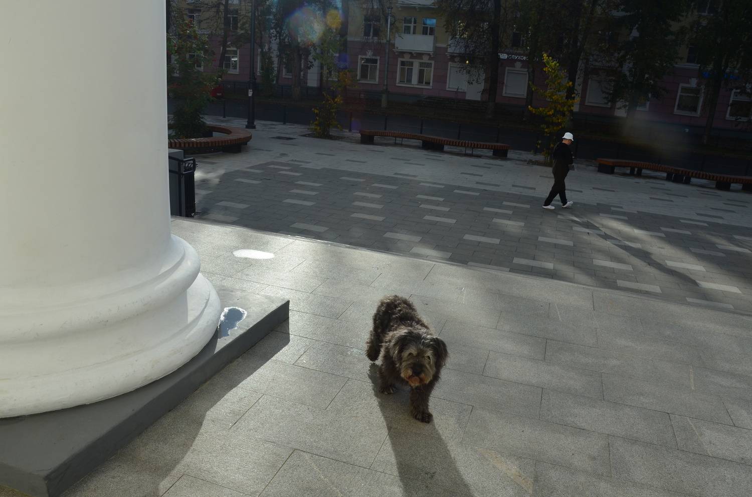 Фотография #13467196