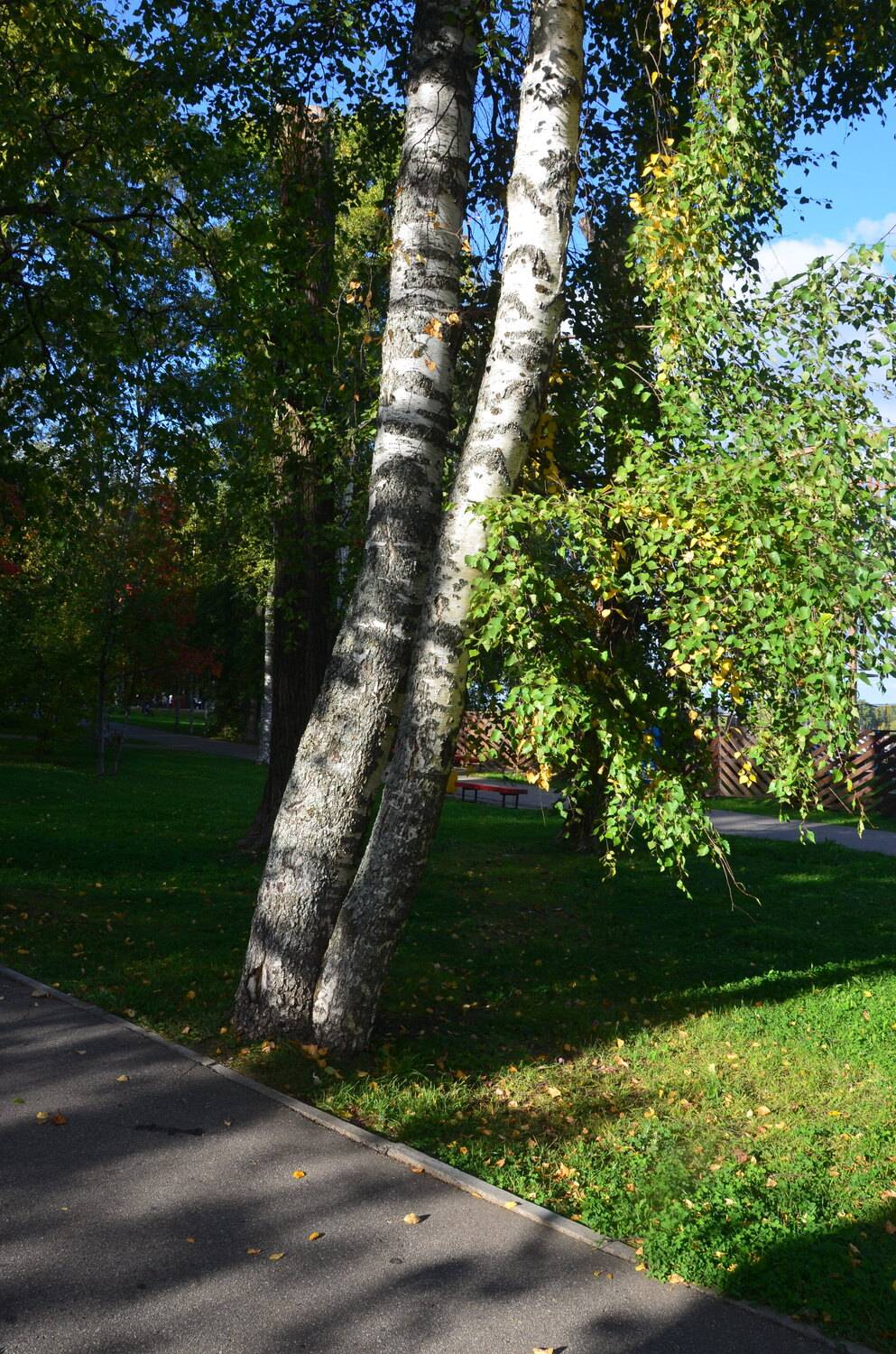 Фотография #13467198