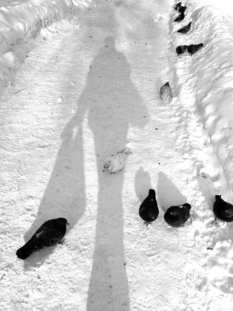 Photograph by Елена Павелко
