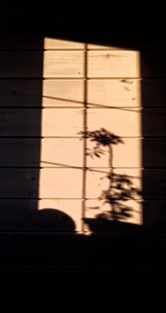 Photograph by Евгения Владимировна