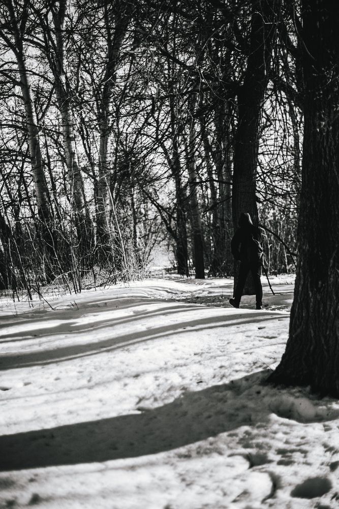 Photograph by Алексей Морозов