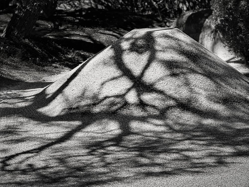 Photograph by Iwamoto Reina