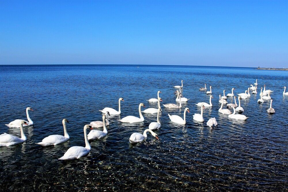 Photograph by Юлия Сидоркина