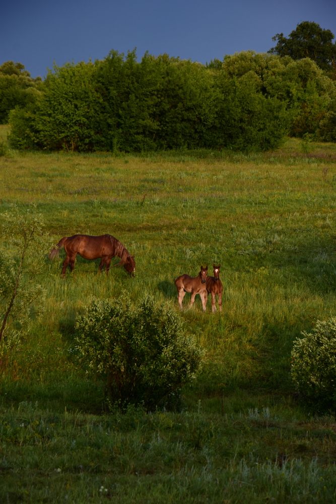 Photograph by Валерий Гудков
