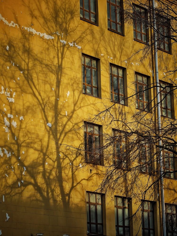 Photograph by Tatiana Potapenko