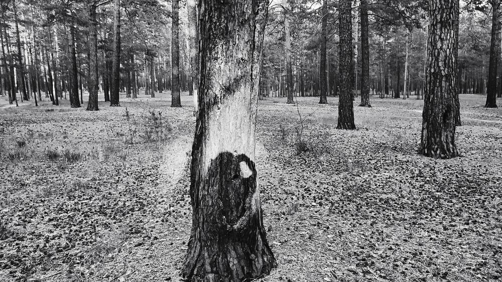 Photograph by Selina Marina