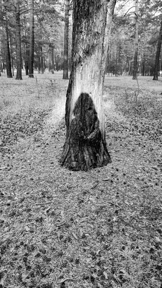 Photograph by Selina Marina