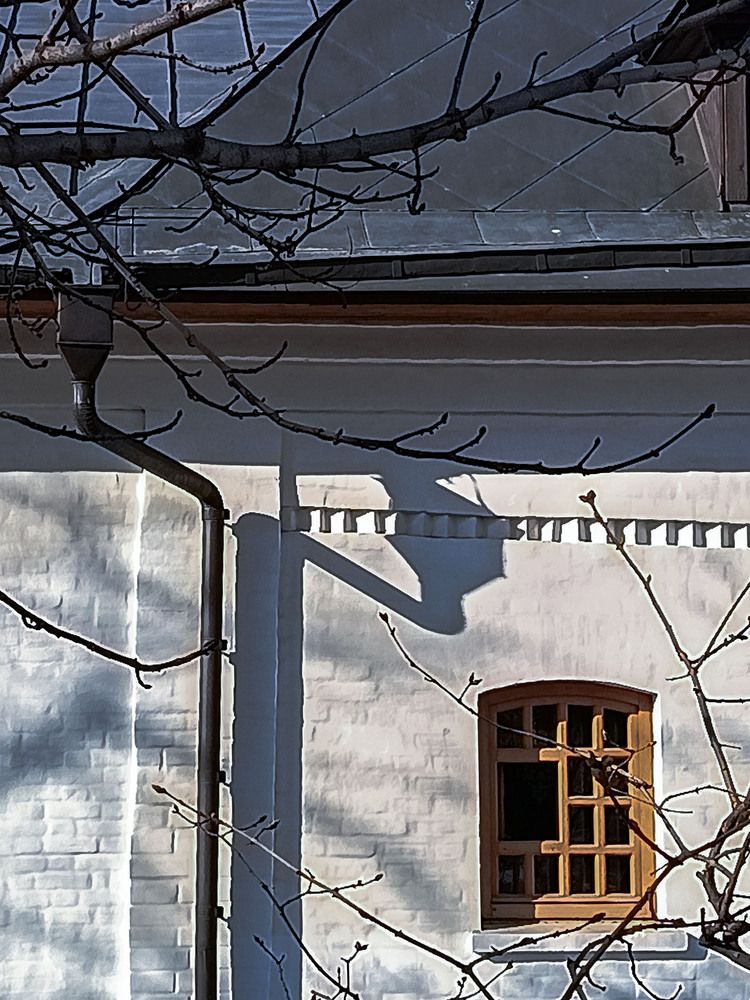 Photograph by Vladimir  Komarov