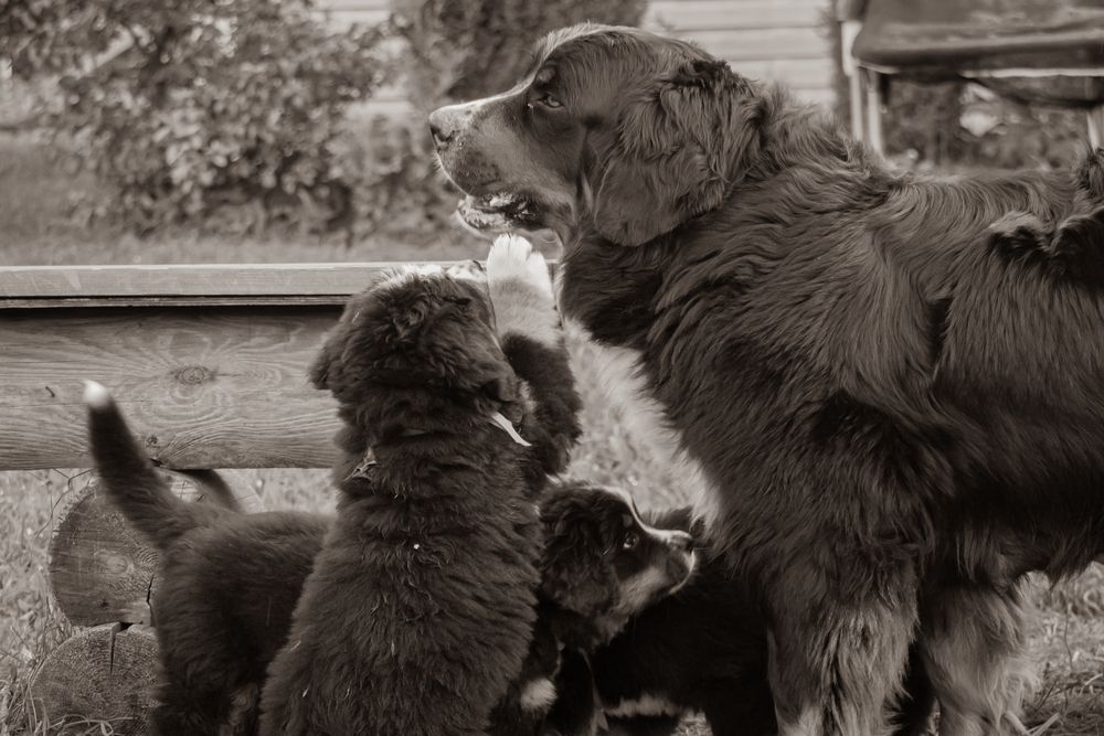 Photo #13467637