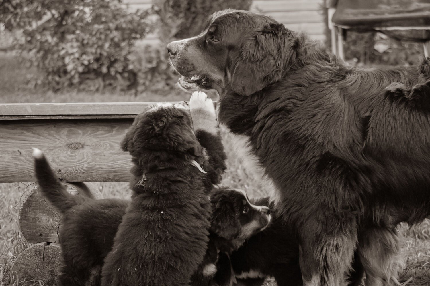 Photo #13467637