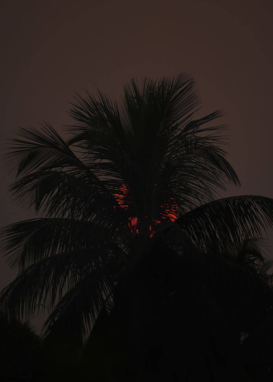 Photo #13467773