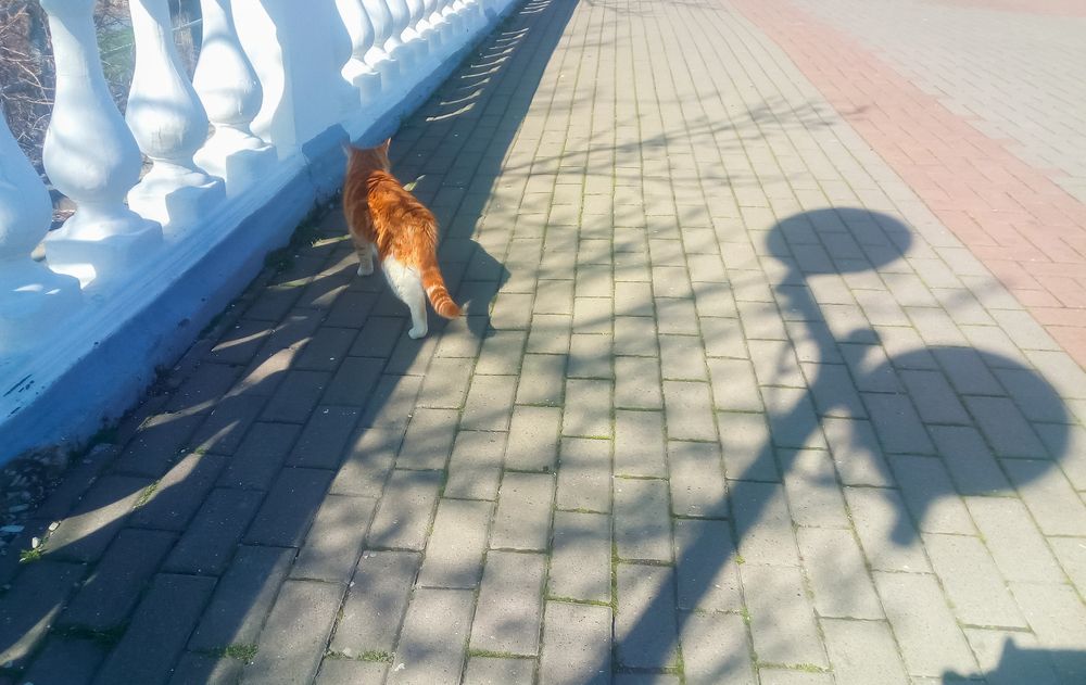 Photograph by Елена Шахова