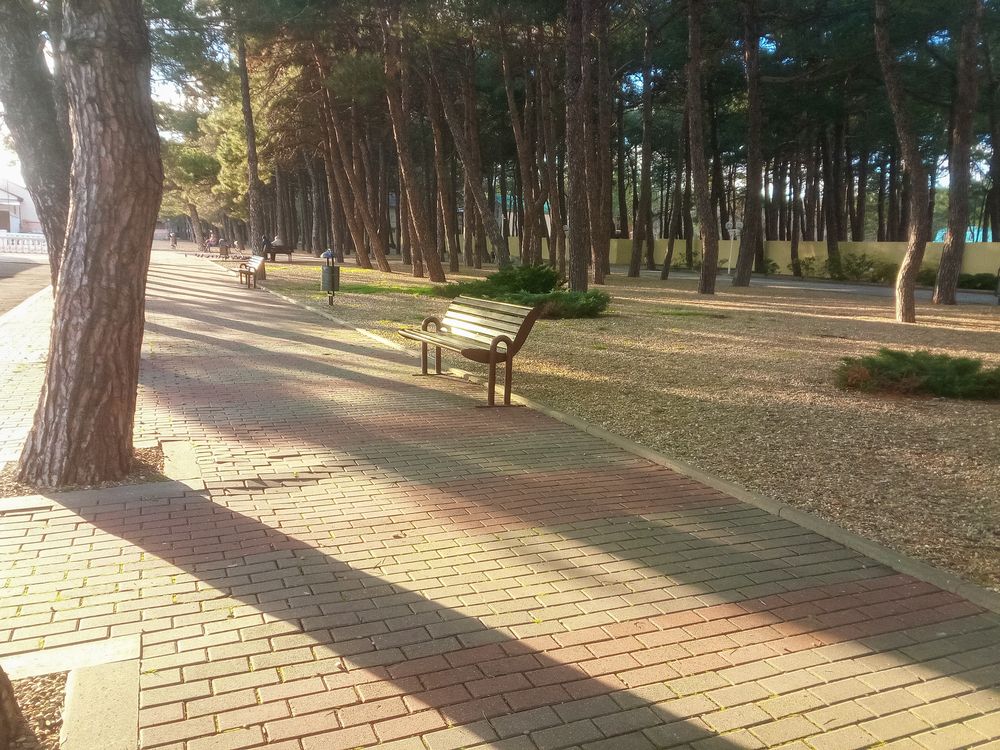 Photograph by Елена Шахова