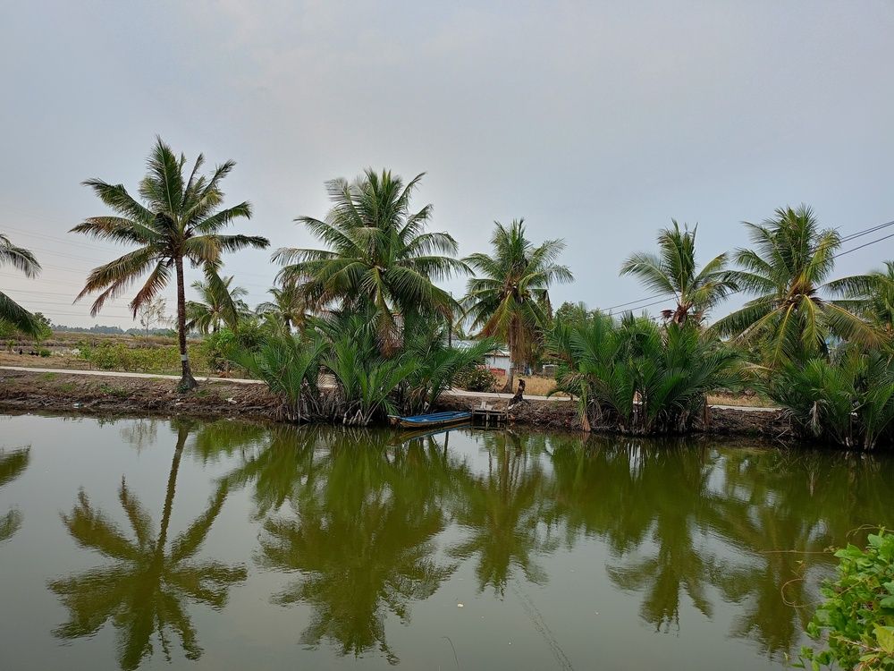 Photograph by Tân Trần Thanh