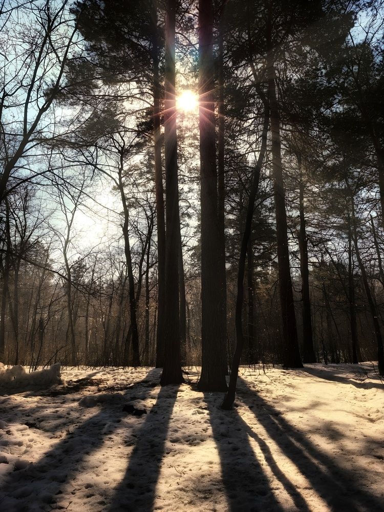 Photograph by Алла Саблина