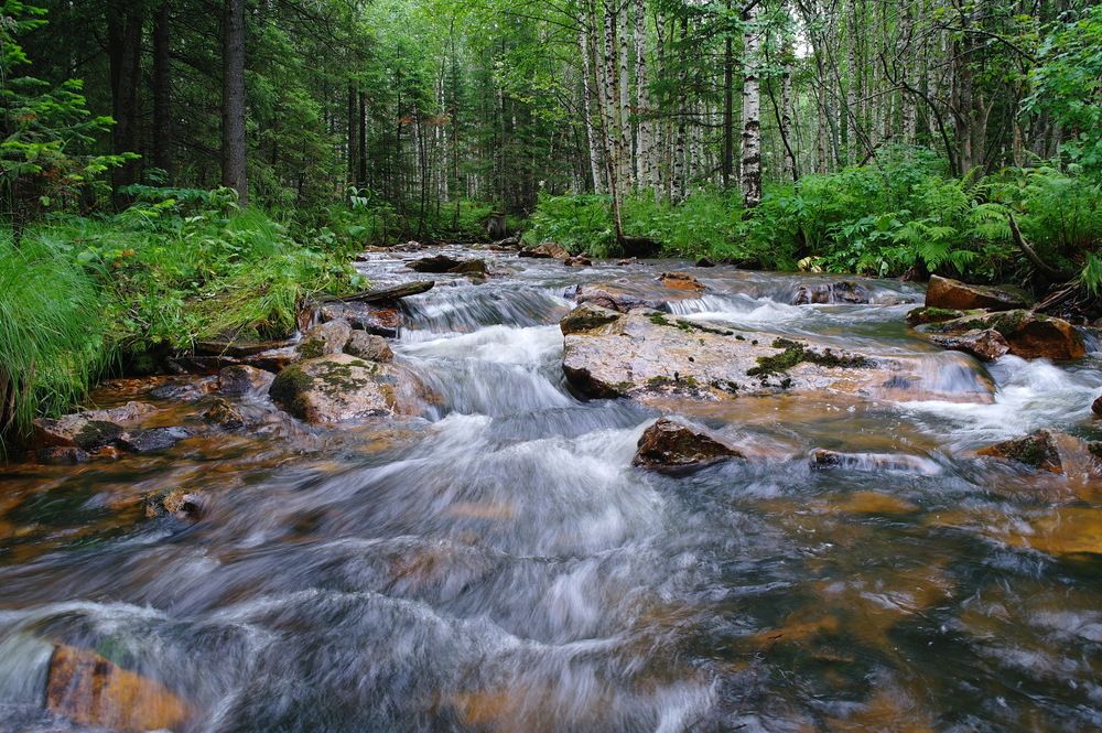 Сила таежной реки