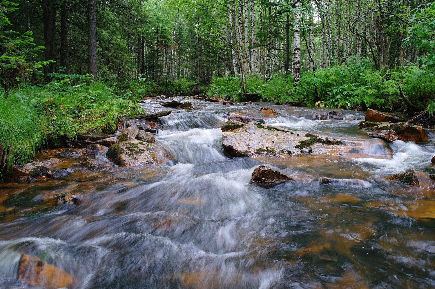 Сила таежной реки