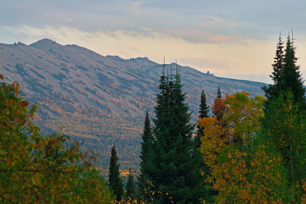 Каменная пила