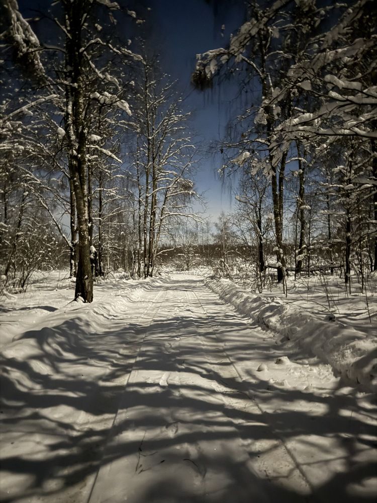 Photograph by kotka