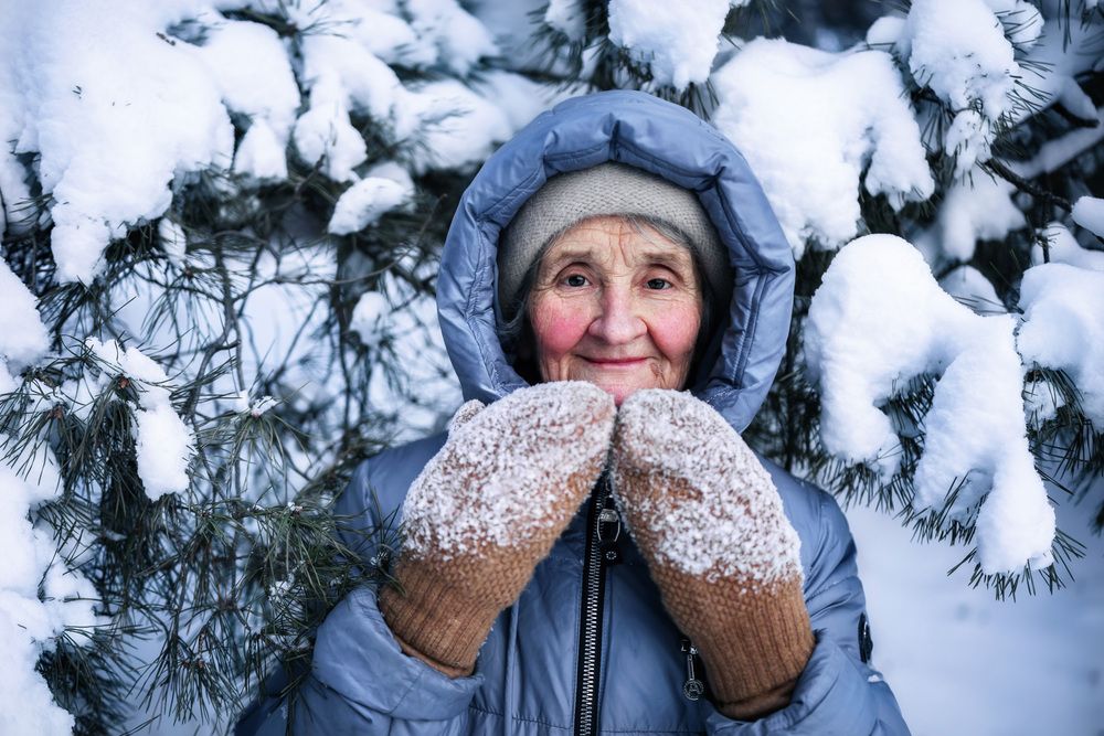Photograph by Алексей Широбоков