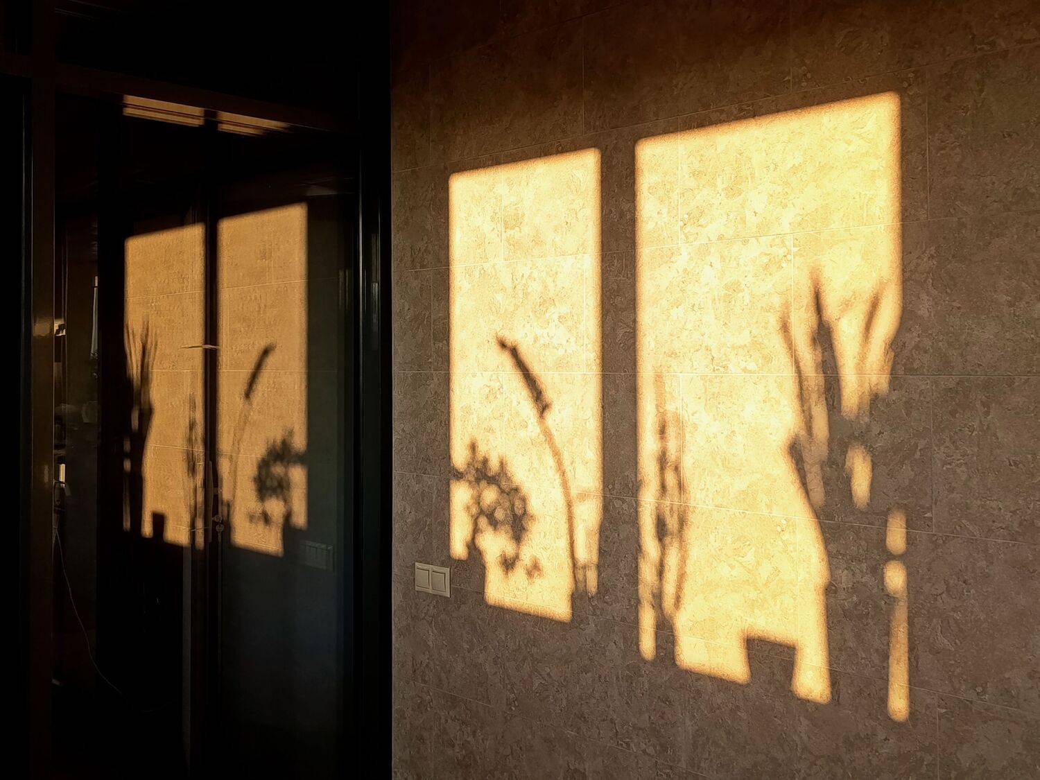 Фотография #13468228