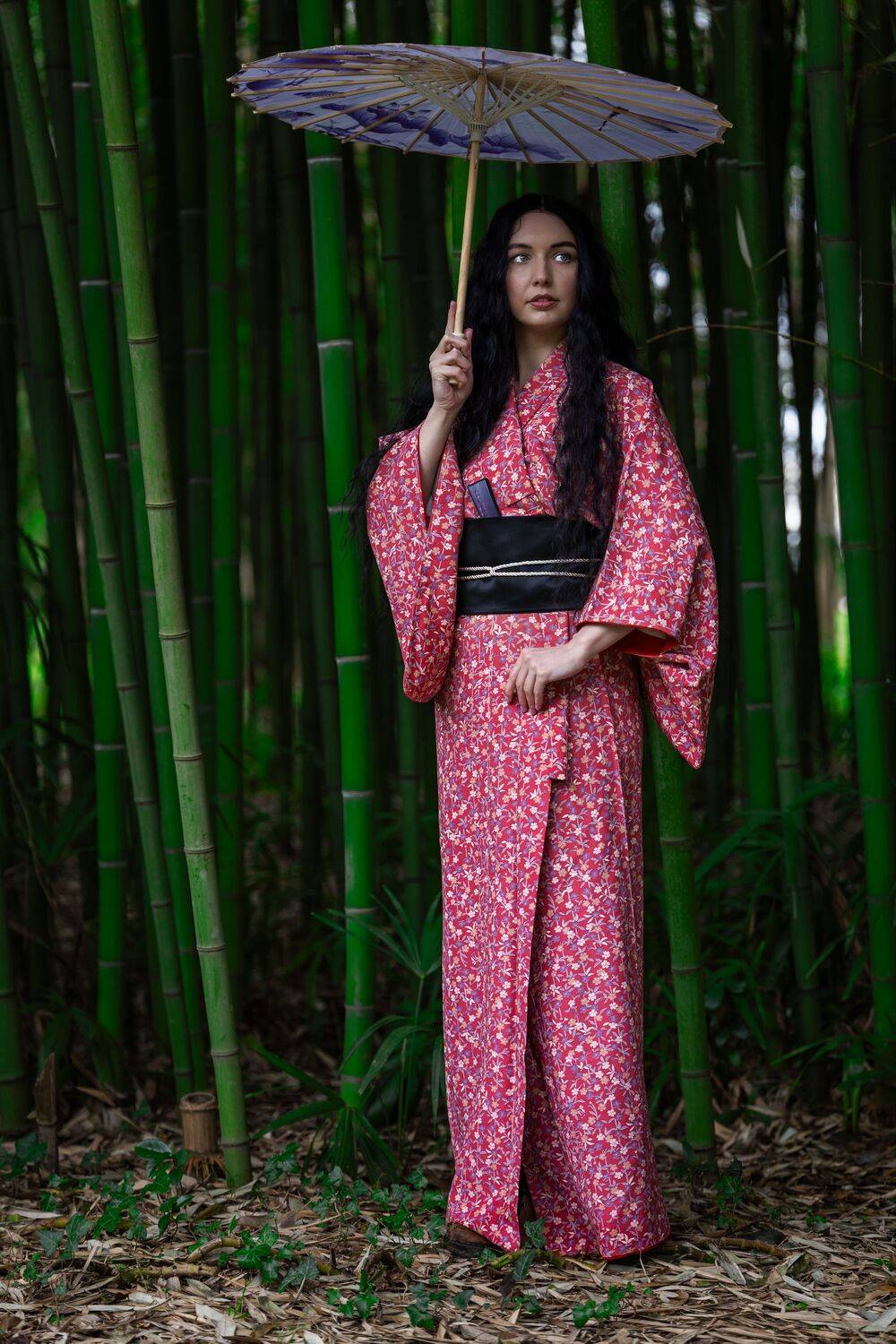 в тенях бамбуковой рощи