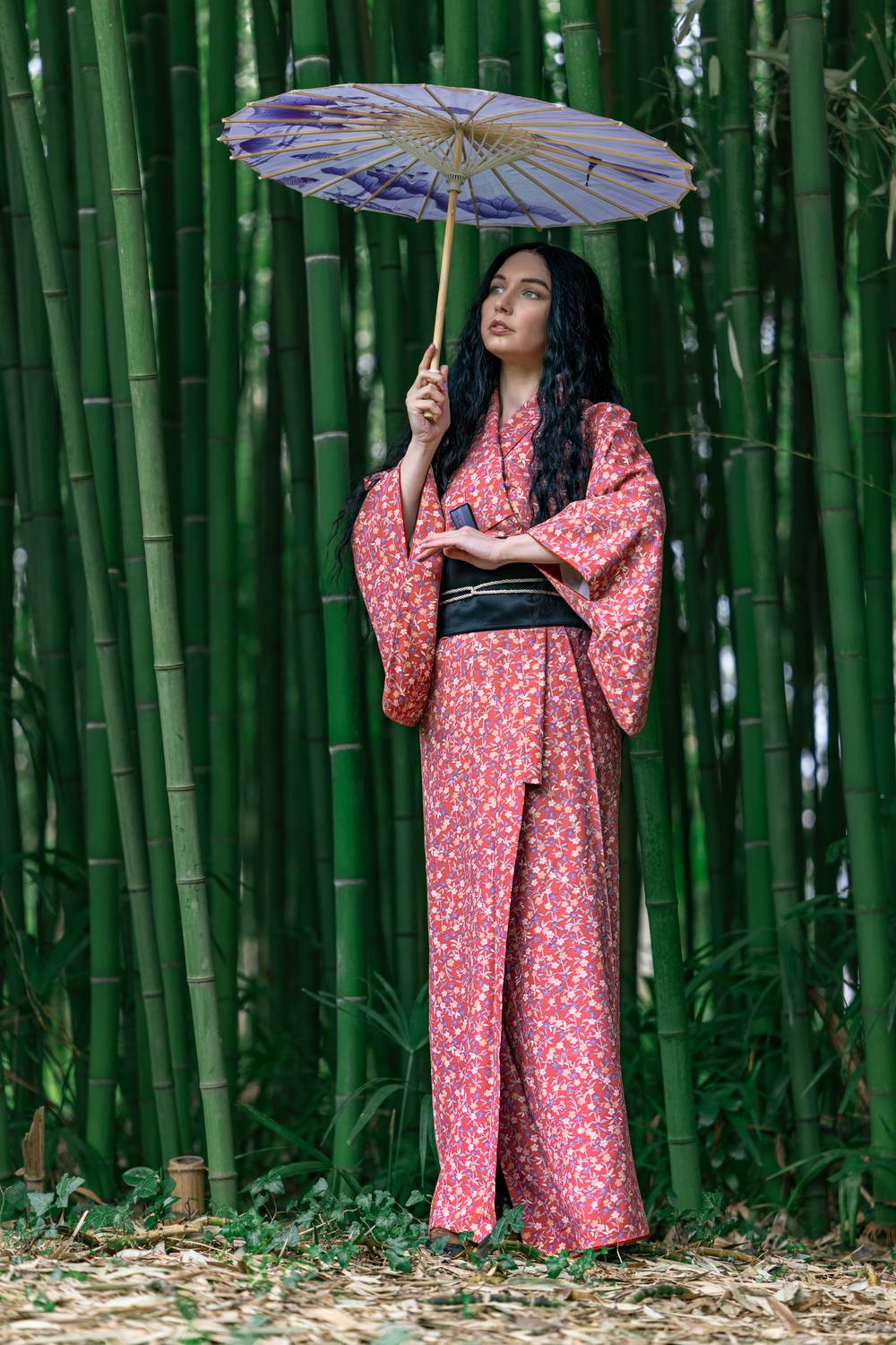 В тенях бамбуковой рощи