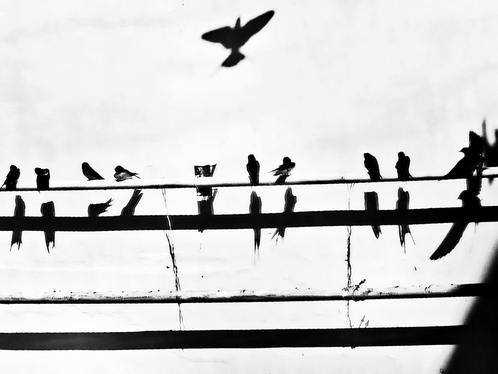 Photograph by Noreen Joei Africa