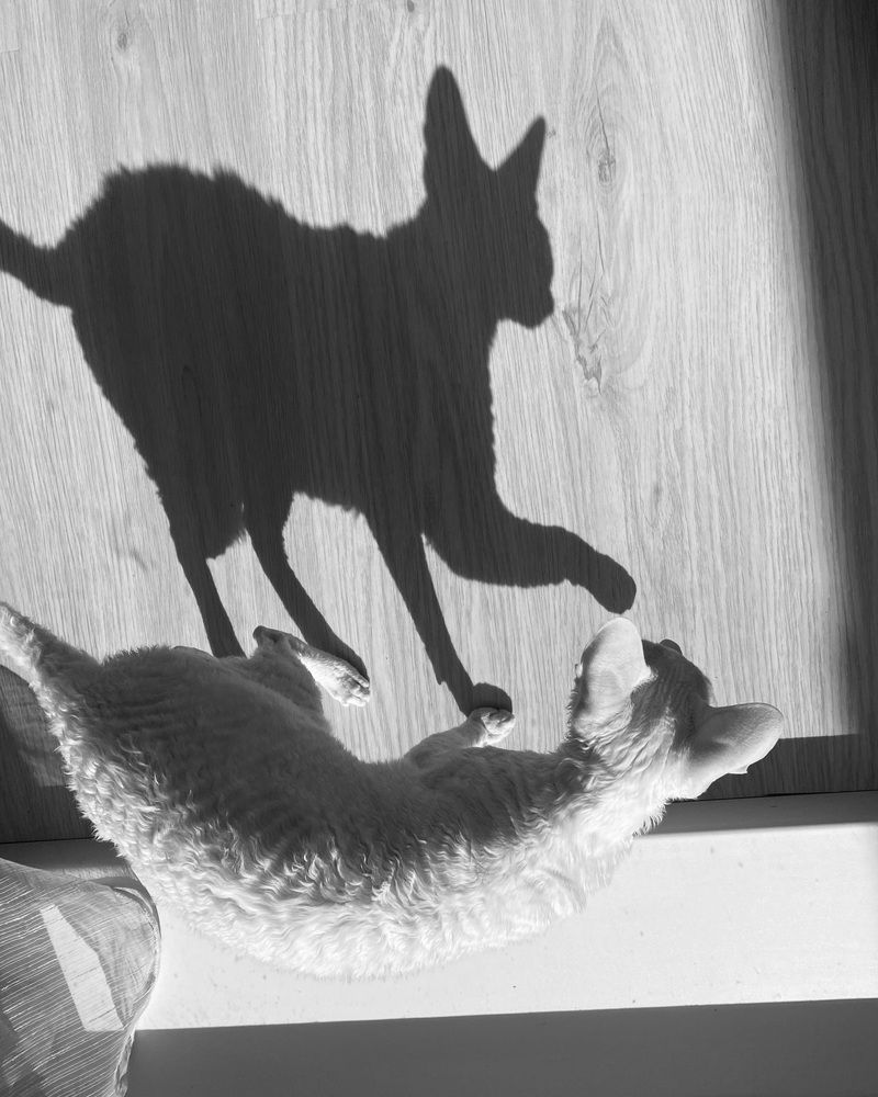 Photograph by Анна Бобкова