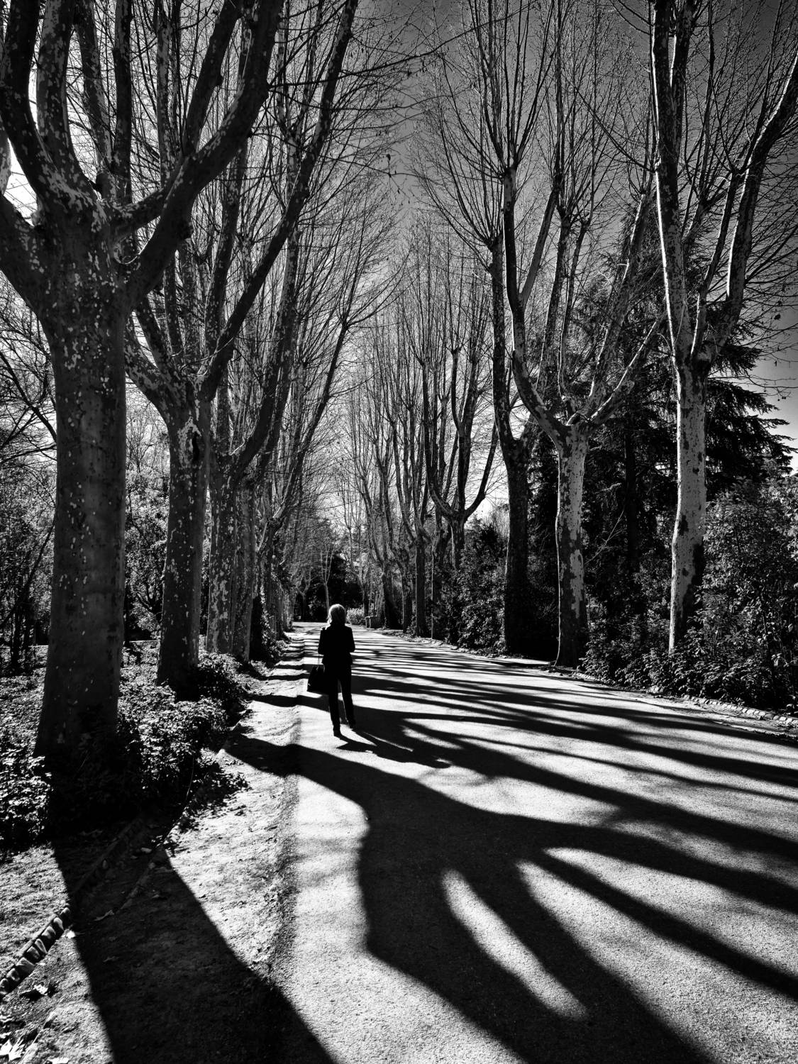 Фотография #13468464