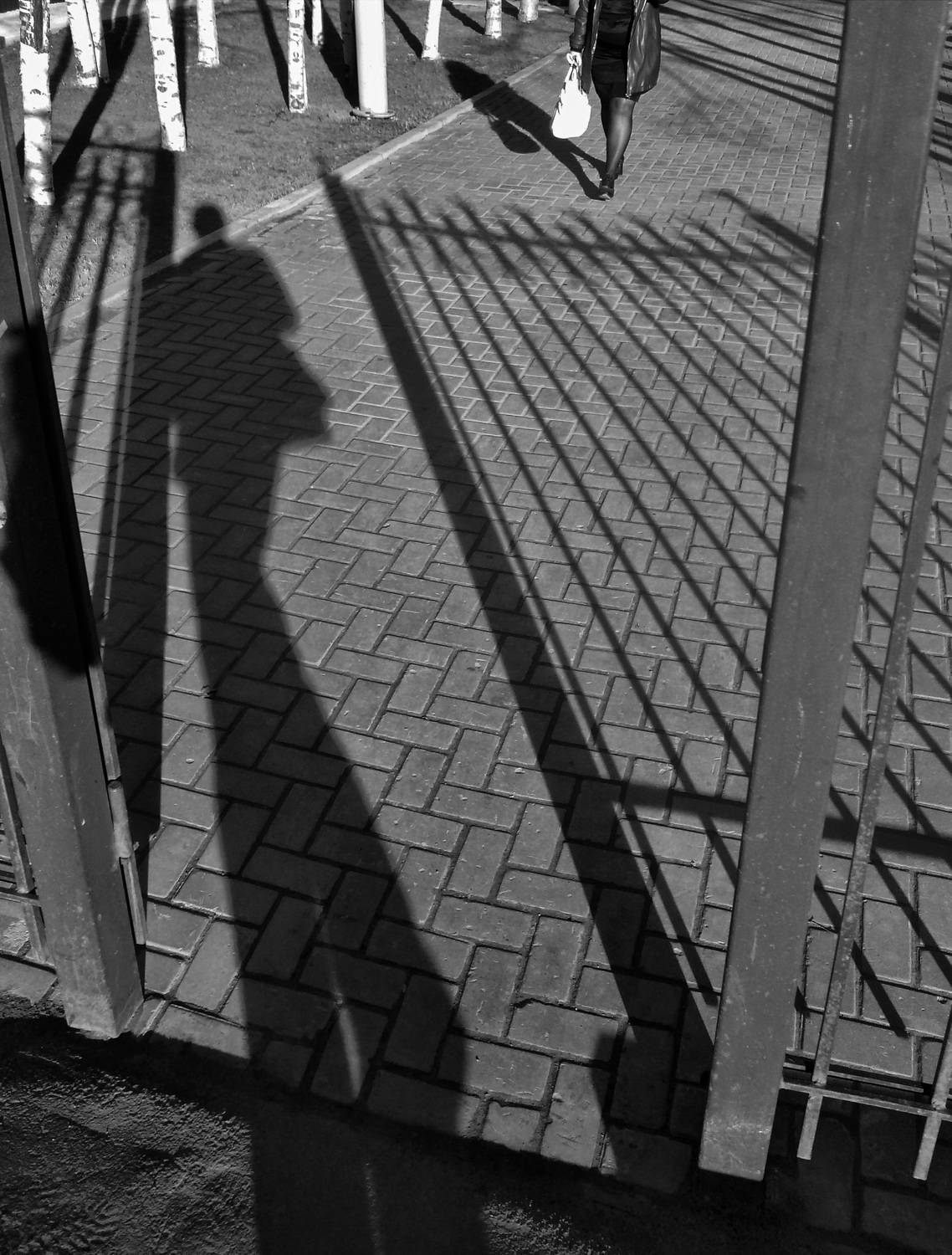 Фотография #13468480