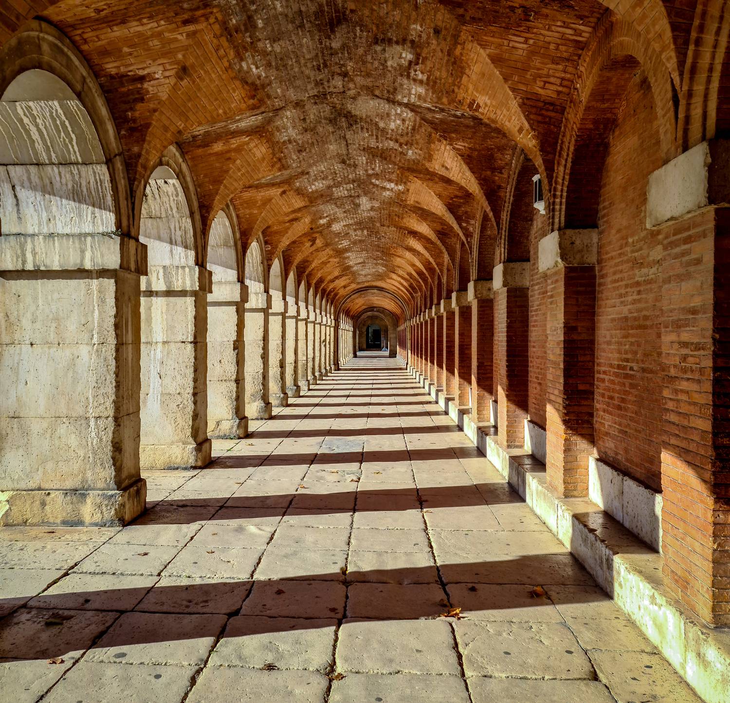 Фотография #13468524