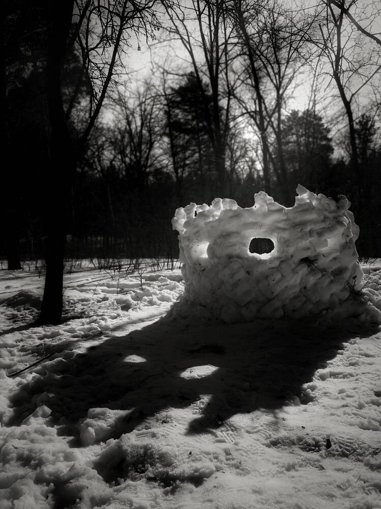 Photograph by Алла Саблина