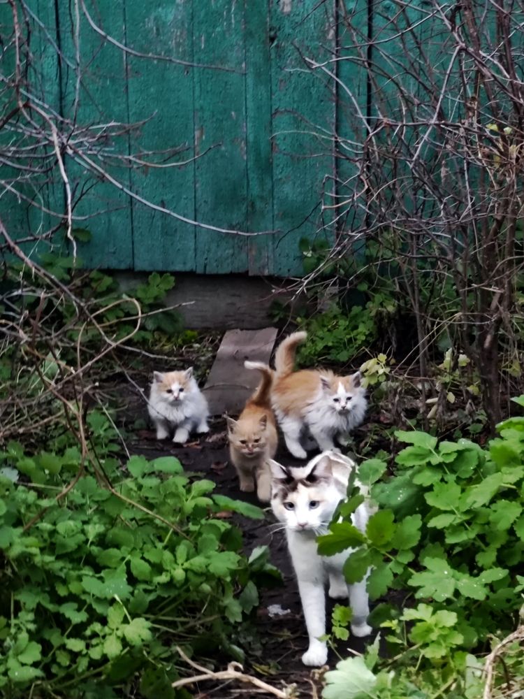 Photograph by Валерий Гудков