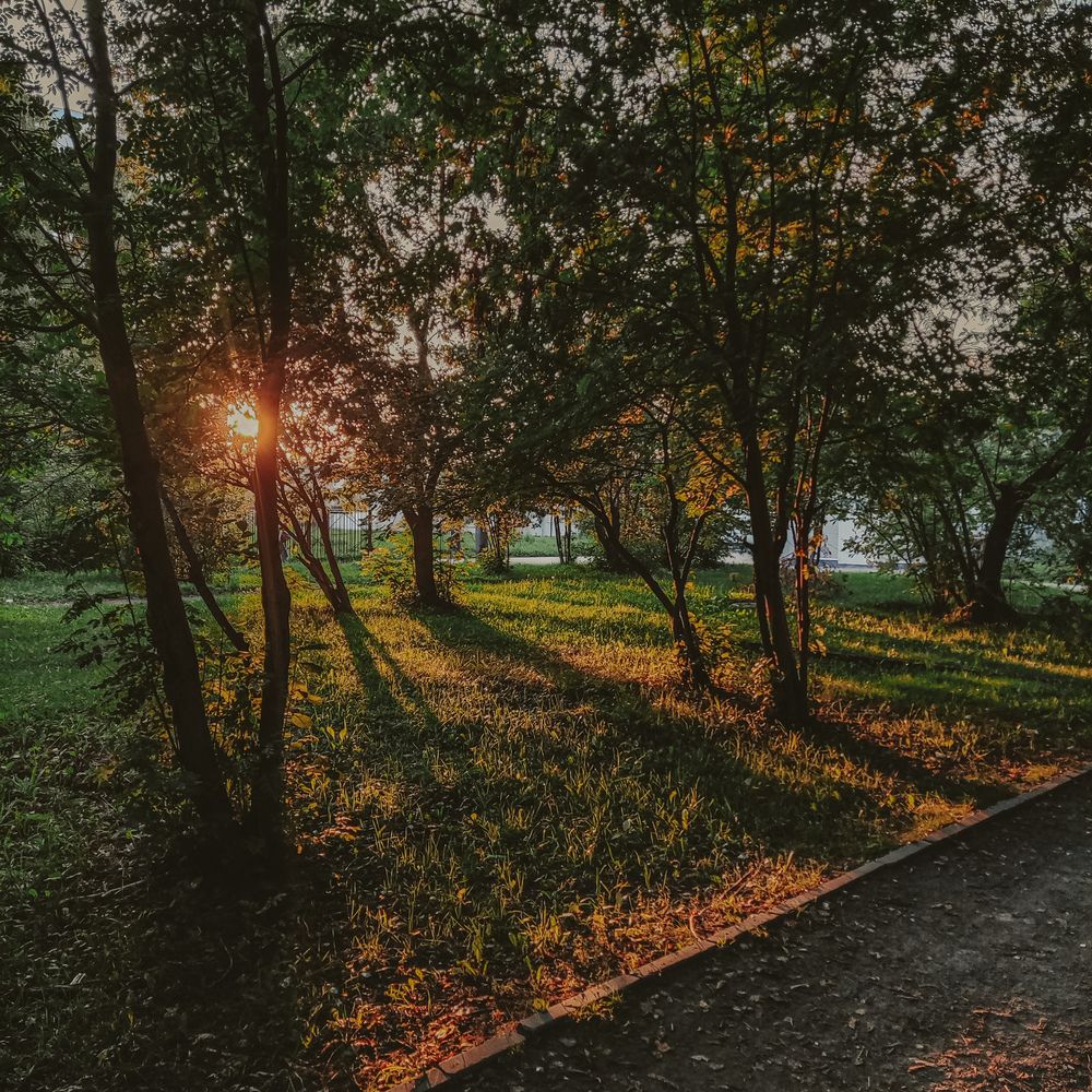 Photograph by Алина Плотникова